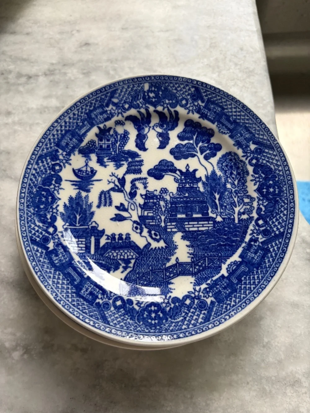 Vintage Blue Willow Japanese Style Dish Set